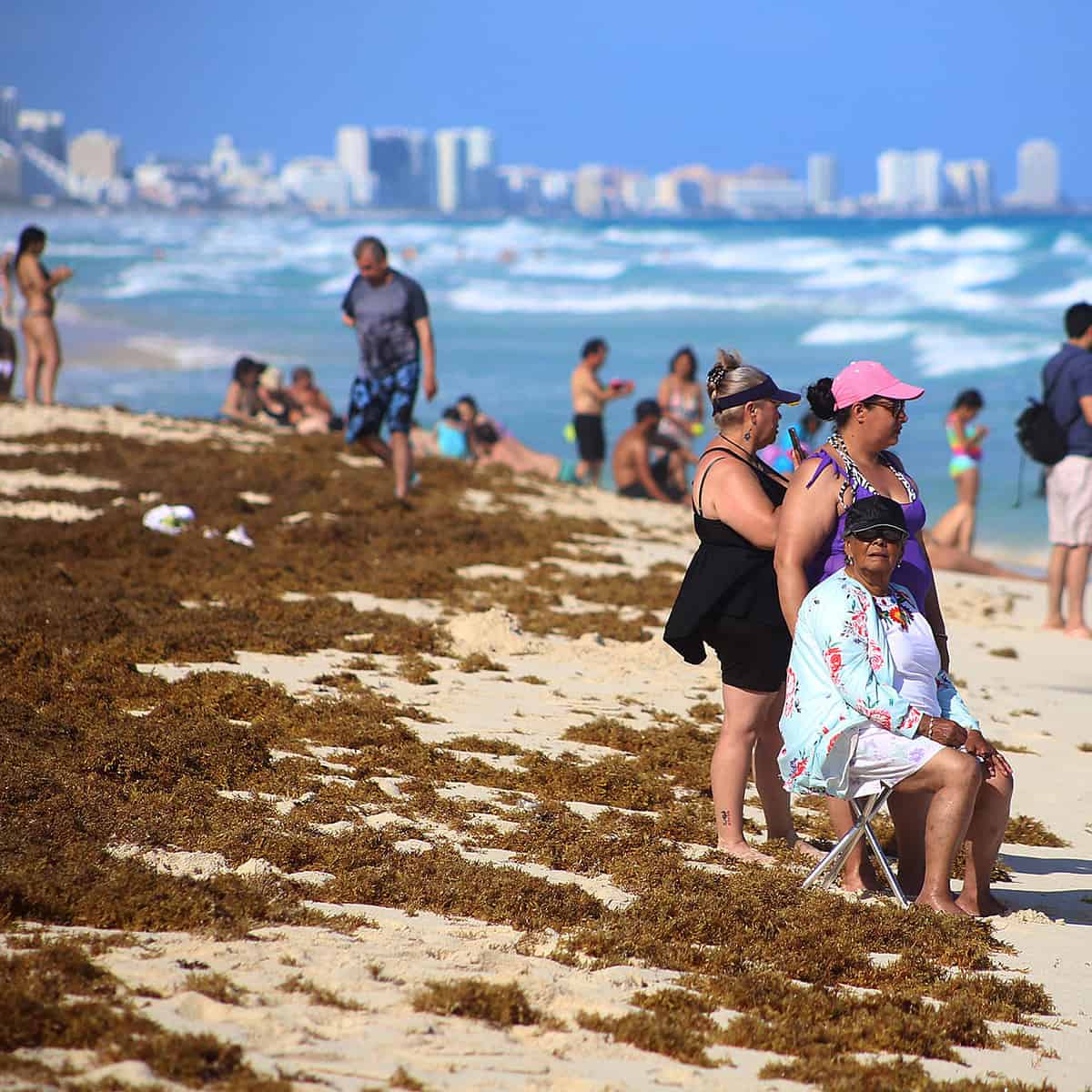 Playas de Quintana Roo invadidas de sargazo