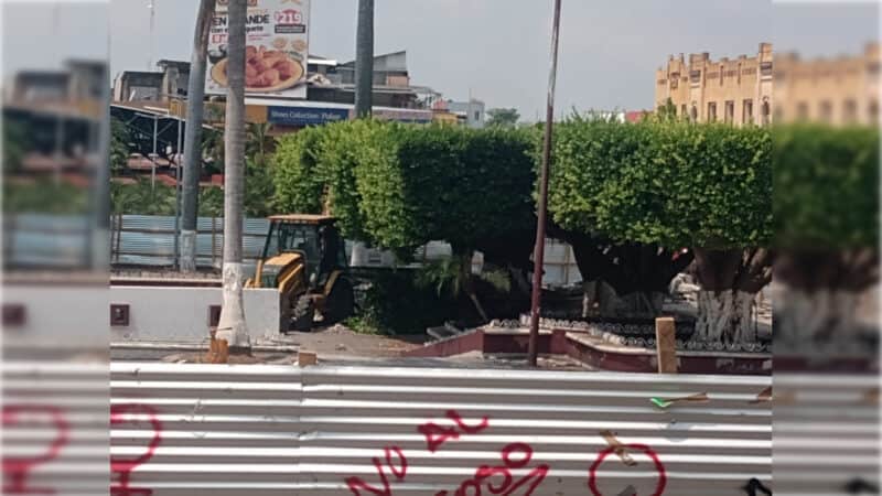 Tala masiva en Chiapas, con el fin de remodelar parque cortan más de 100 árboles