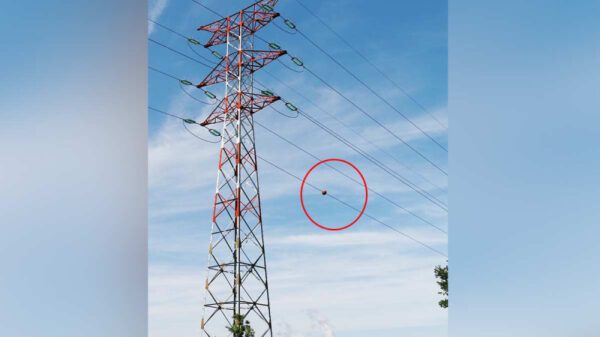 Esferas en los cables de alta tensión ¿Para qué son?