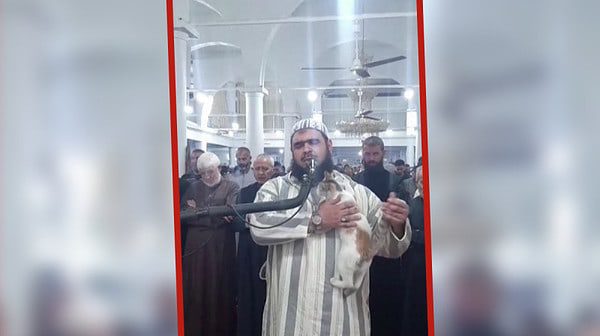 Gatito se vuelve viral por entrar a rezar en una Mezquita