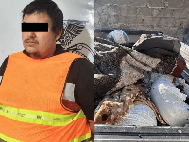 118 perros muertos y embolsados en una camioneta