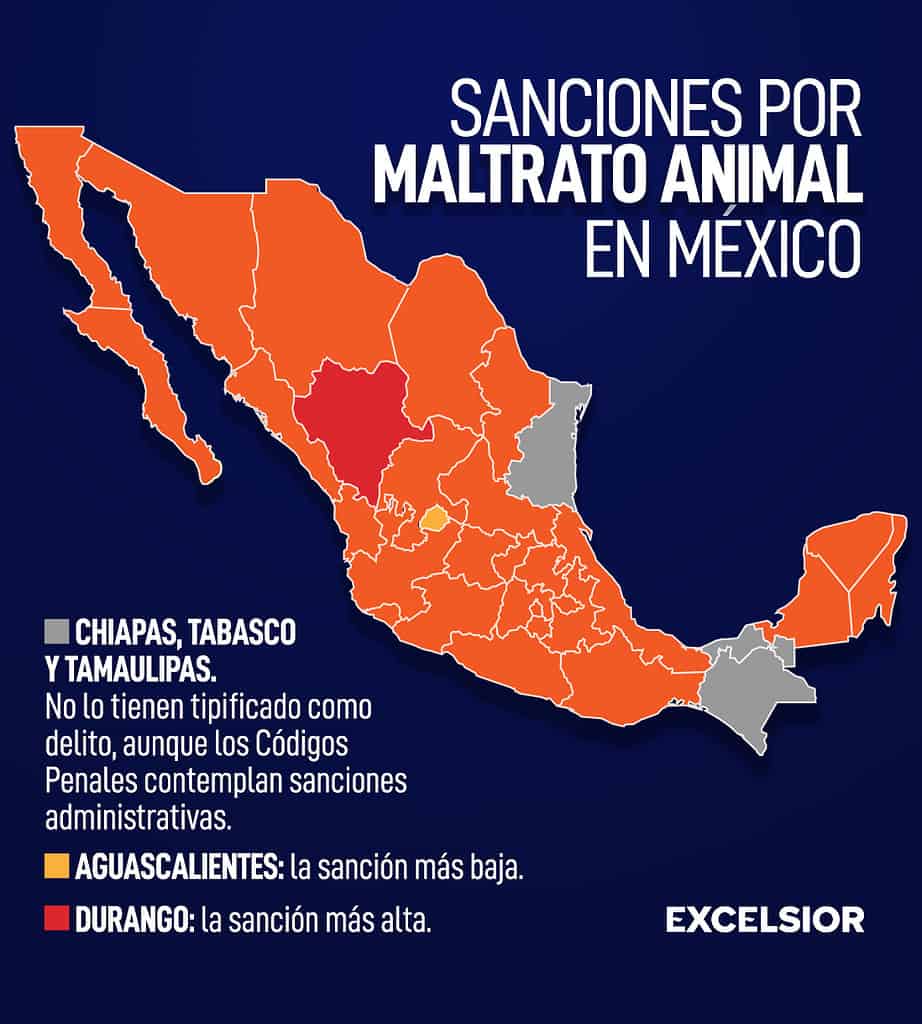 ¿Qué estados tipifican como delito el maltrato animal en México?