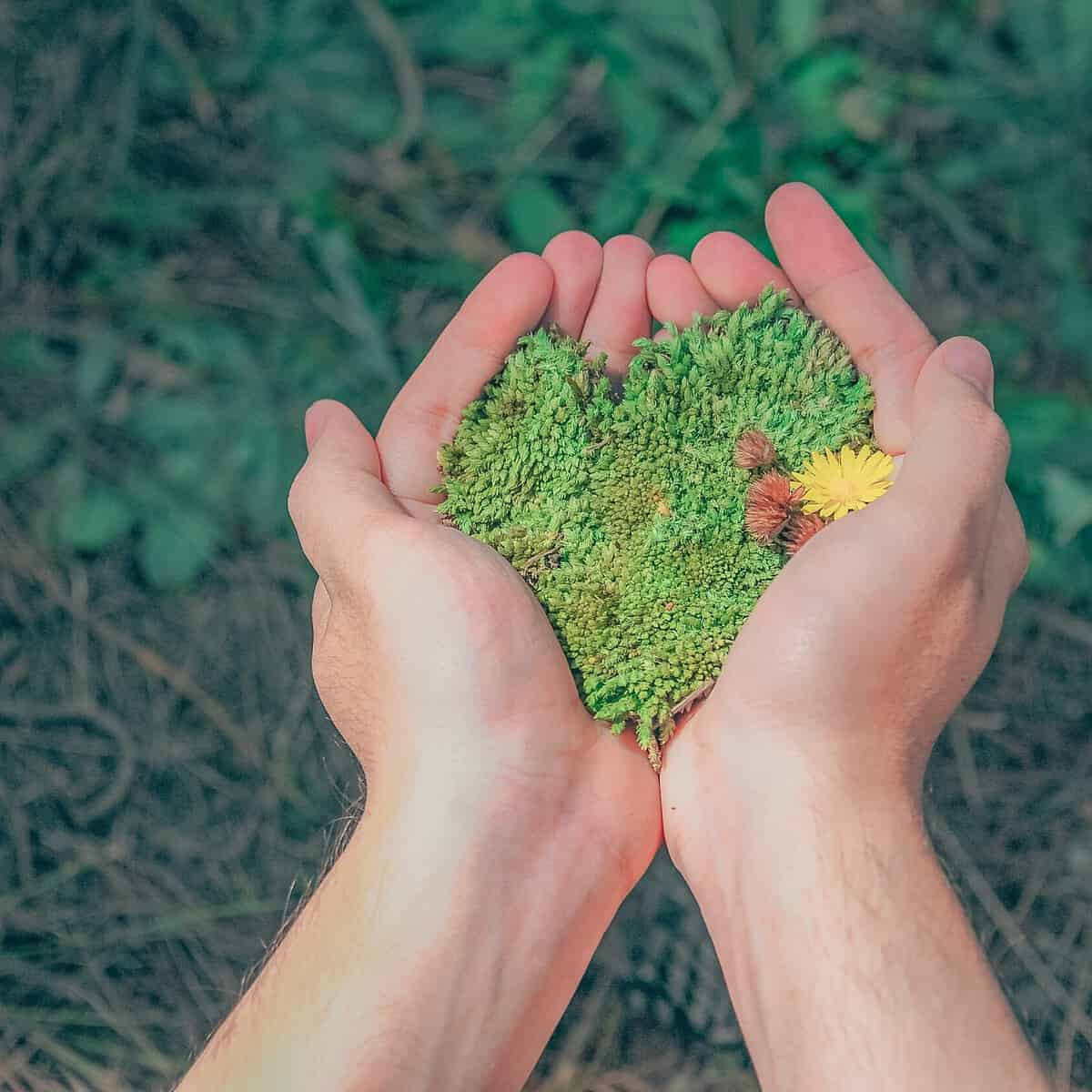 Con protestas, siembra de árboles y limpieza de playas, conmemoran en todo el mundo el Día de la Tierra