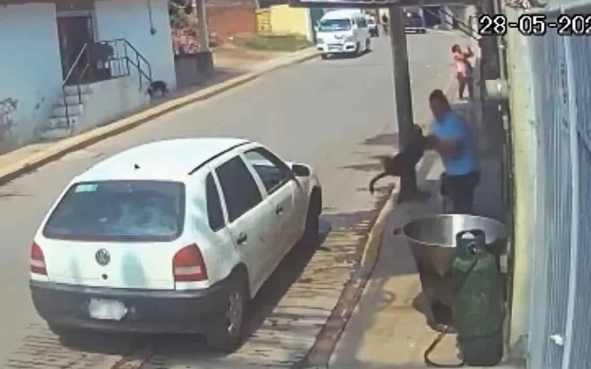 Sujeto desalmado arroja a perrito a un cazo con aceite hirviendo