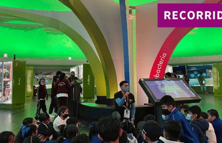 A partir de hoy la entrada al Museo de Historia Natural será gratis