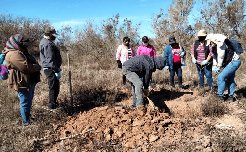 AMLO, dice sí al pacto de paz con criminales