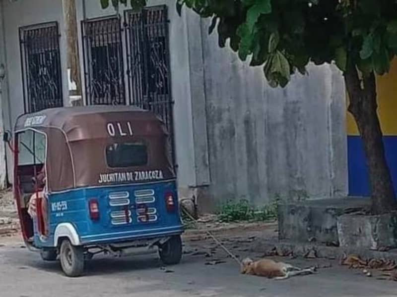 En Oaxaca un mototaxista ata a perrito y lo arrastra por las calles
