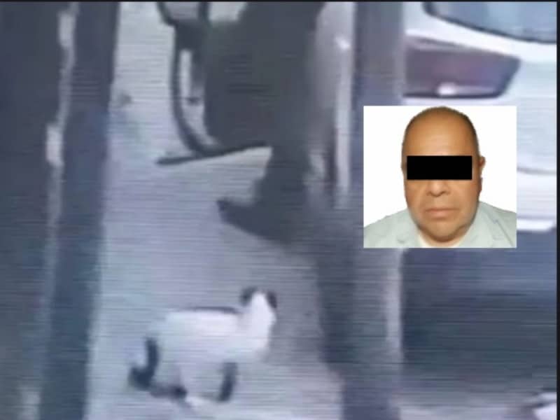 Cae Antonio, sujeto que asesinó a gatito en Tlalnepantla