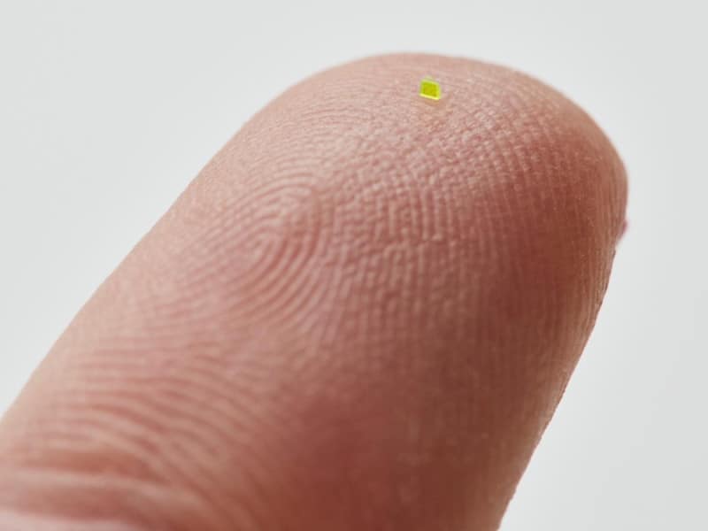 Mira cuánto costó el bolso microscópico de Louis Vuitton que ya se vendió