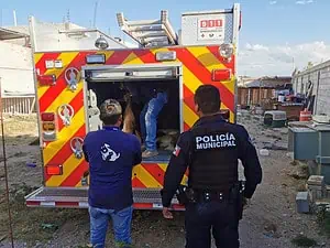 20 perritos fueron rescatados de una escuela de adiestramiento en Querétaro; los lomitos estaban en malas condiciones