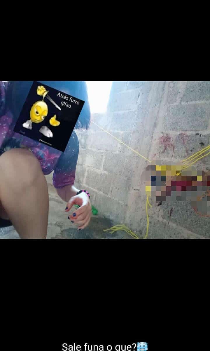 Filtran dirección de adolescente que torturó y mató a un perrito en Huauchinango