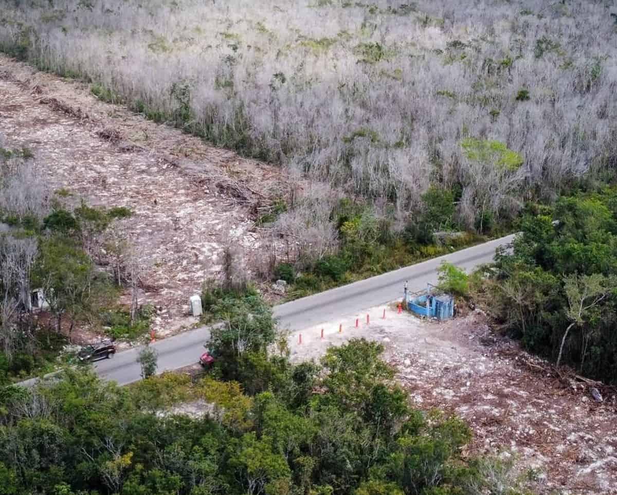 No se suspenderán obras en tramo 5 del Tren Maya, así lo determinó juez