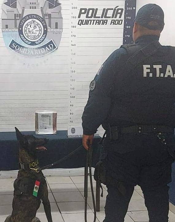 Policía municipal de Solidaridad asegura más de 40 dosis de droga
