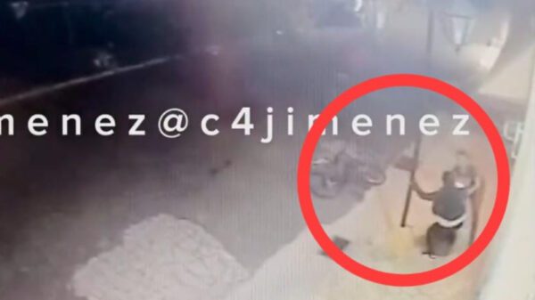 Rápida actuación de una mujer durante un asalto sorprende a delincuentes