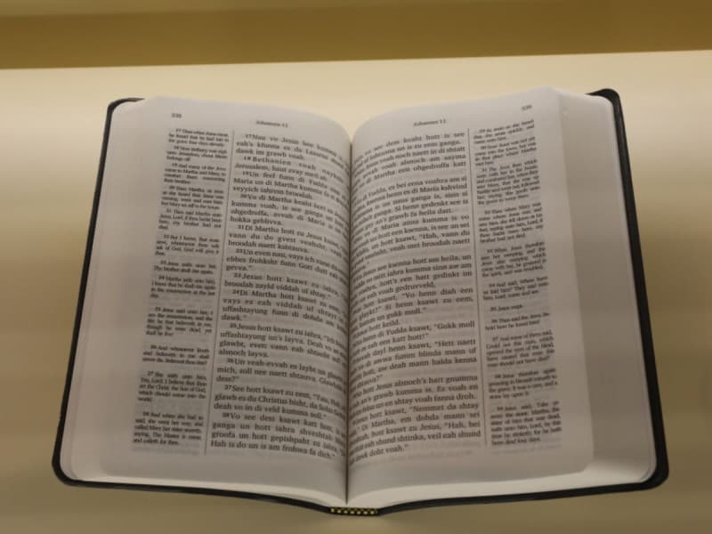 Por tener una Biblia, en Corea del Norte da cadena perpetua a niño de 2 años