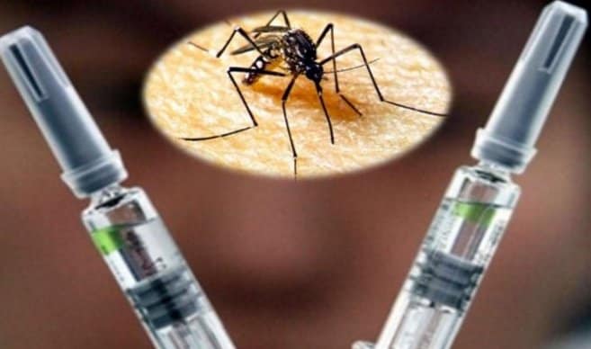 Pronto podría aparecer la primera vacuna contra el chikungunya; hay grandes esperanzas