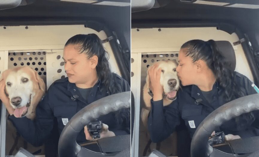 Policía de Hermosillo, hace homenaje para jubilar a perro integrante de la Corporación