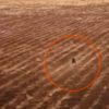 Extraña criatura en Bolivia es captada en video por un Dron