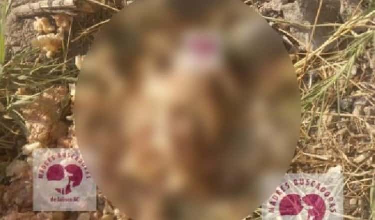 Restos humanos son hallados dentro de pozole en Jalisco