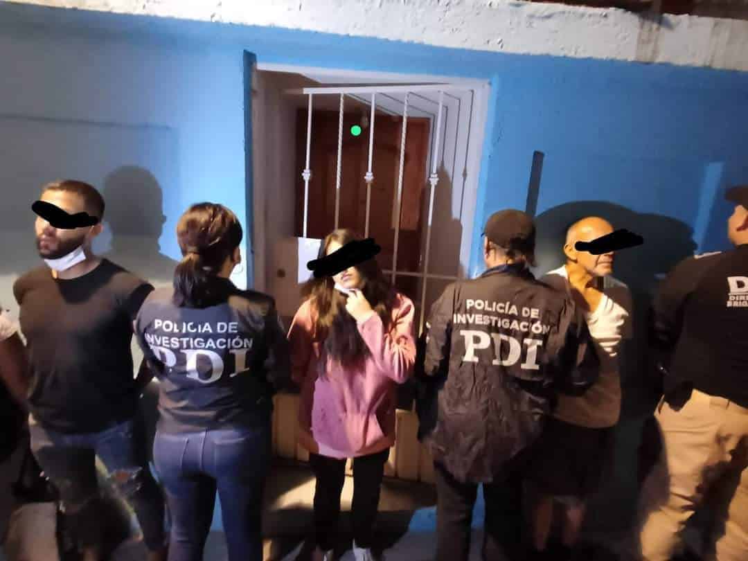 Rescatan alrededor de 60 perritos en Coyoacán