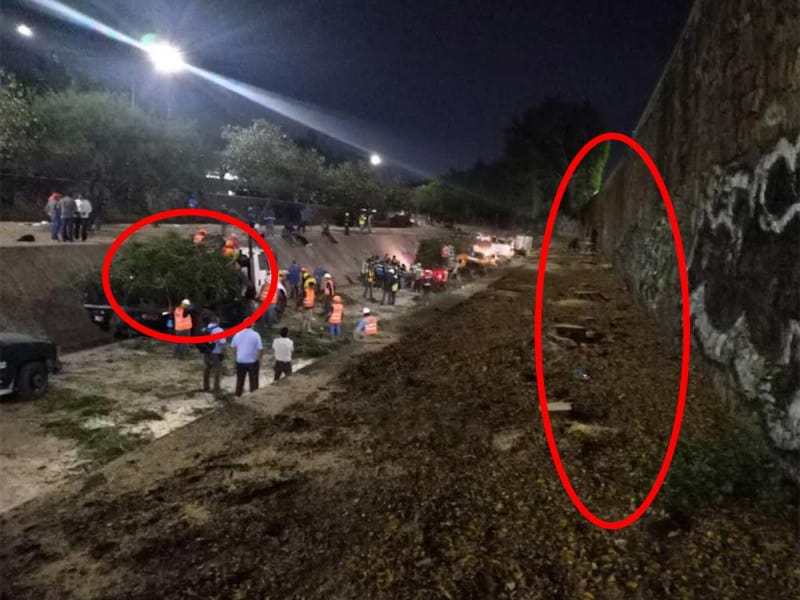 ¡Ecocidio en León!; talan 70 árboles que tenían más de 50 años porque ‘estorbaban’