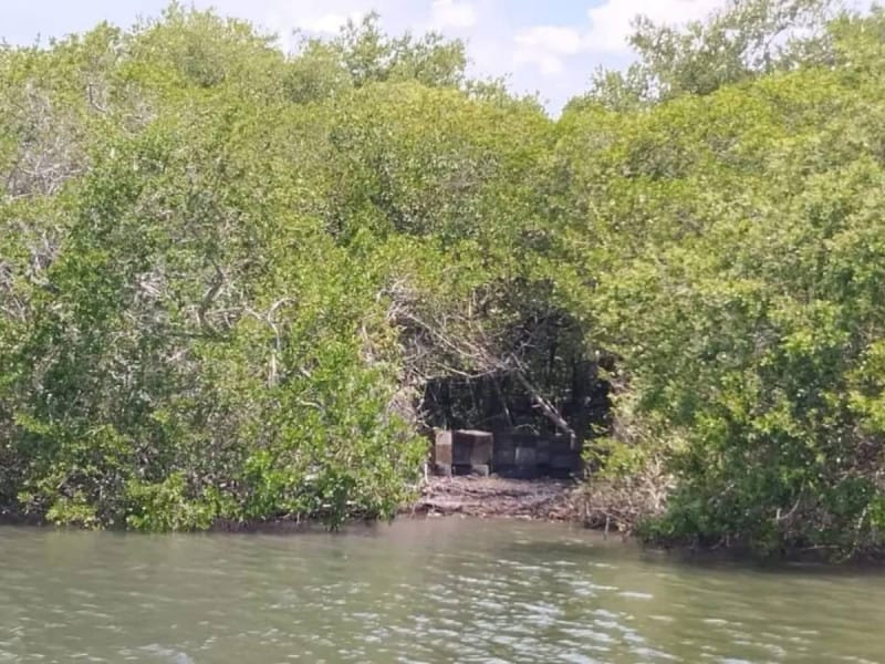 Descubren fosa clandestina con 17 cadáveres en Alvarado, Veracruz