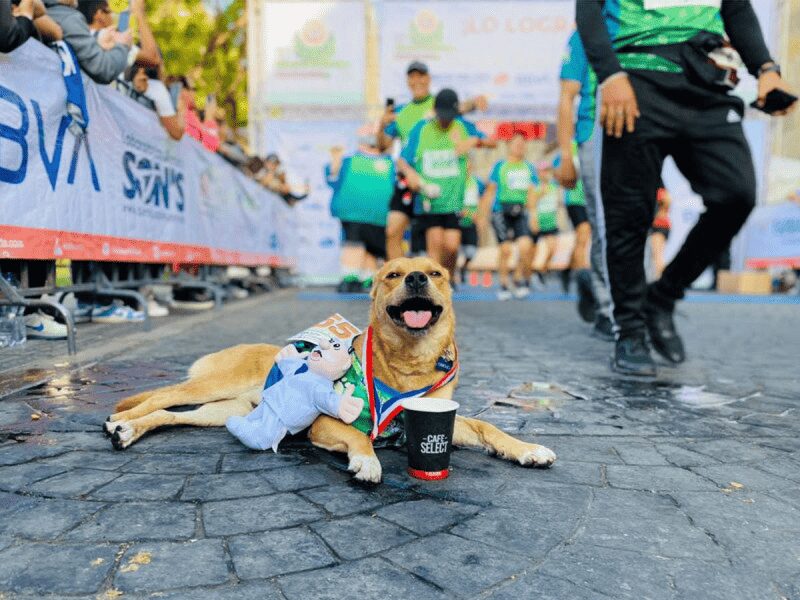 ‘Chicles’ obtiene una victoria más; gana 1er lugar en Guadalajara