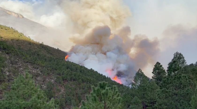 En Coahuila se registran cinco incendios forestales