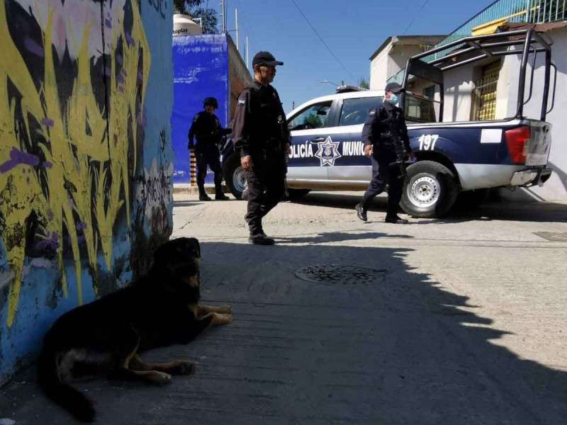 En las calles de Chihuahua un perro paseaba con un brazo humano en el hocico