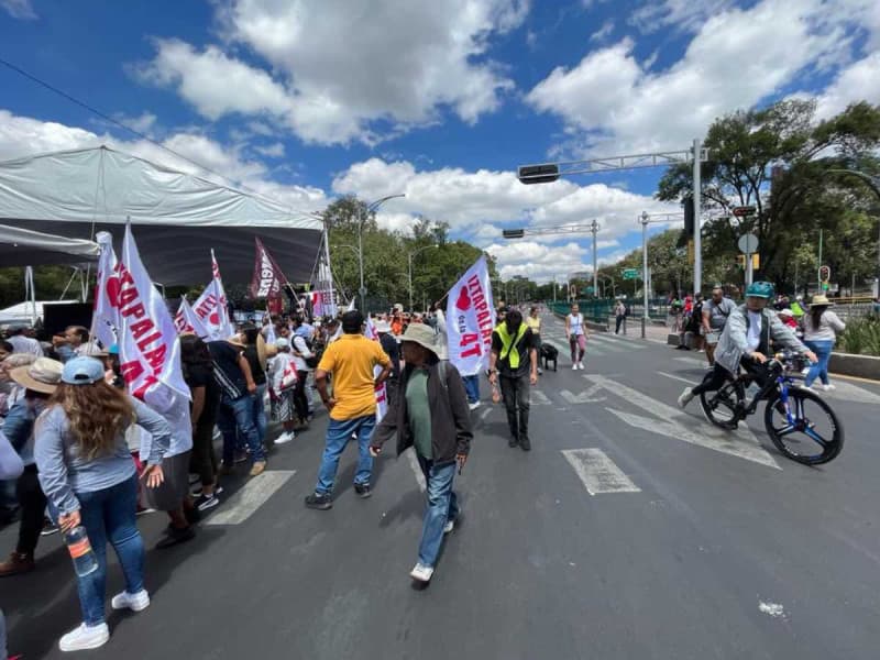 Exigen penas más severas contra quienes comentan actos de crueldad en la “Marcha contra el Maltrato Animal”