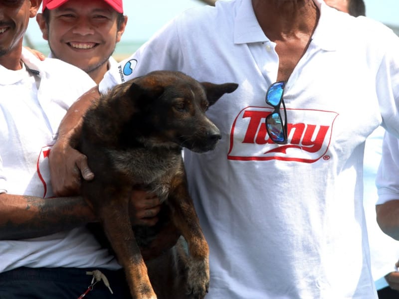 Bella, la compañera de travesía del náufrago australiano se quedará en México