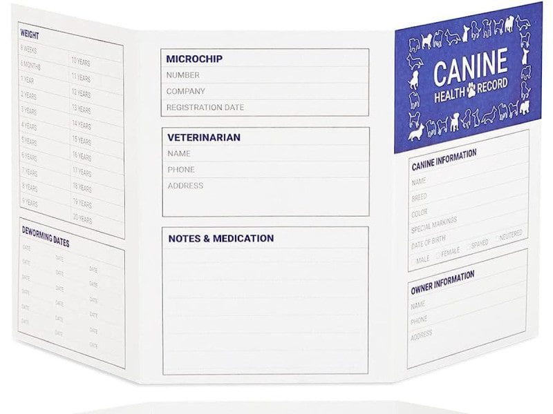 ¿Sabes cuáles son las vacunas básicas para tus perros y cuántos refuerzos necesitan? Aquí te contamos