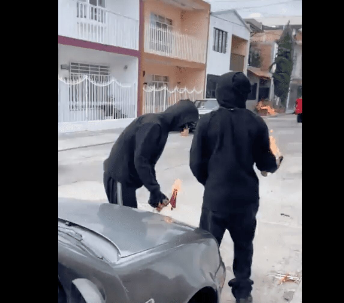 Atacan presunto domicilio de adolescente que atacaba gatos