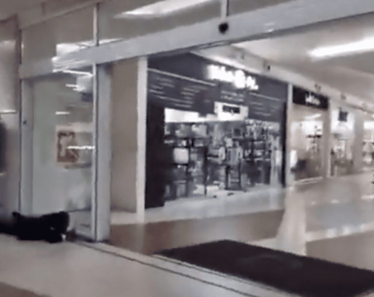 Se registra balacera en Plaza Las Américas de Morelia, hay dos personas sin vida