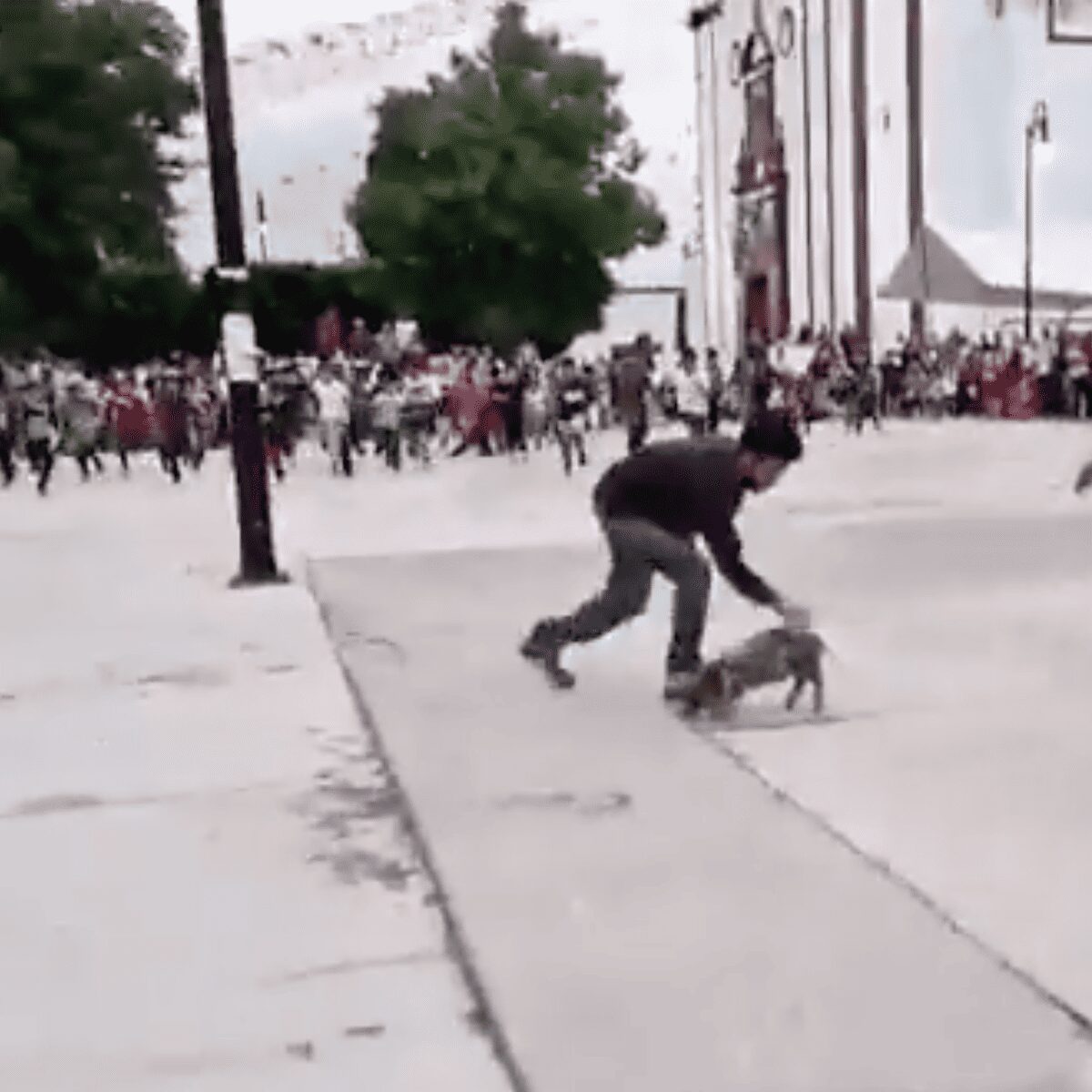 Denuncian presunto caso de maltrato animal en fiesta patronal de Puebla