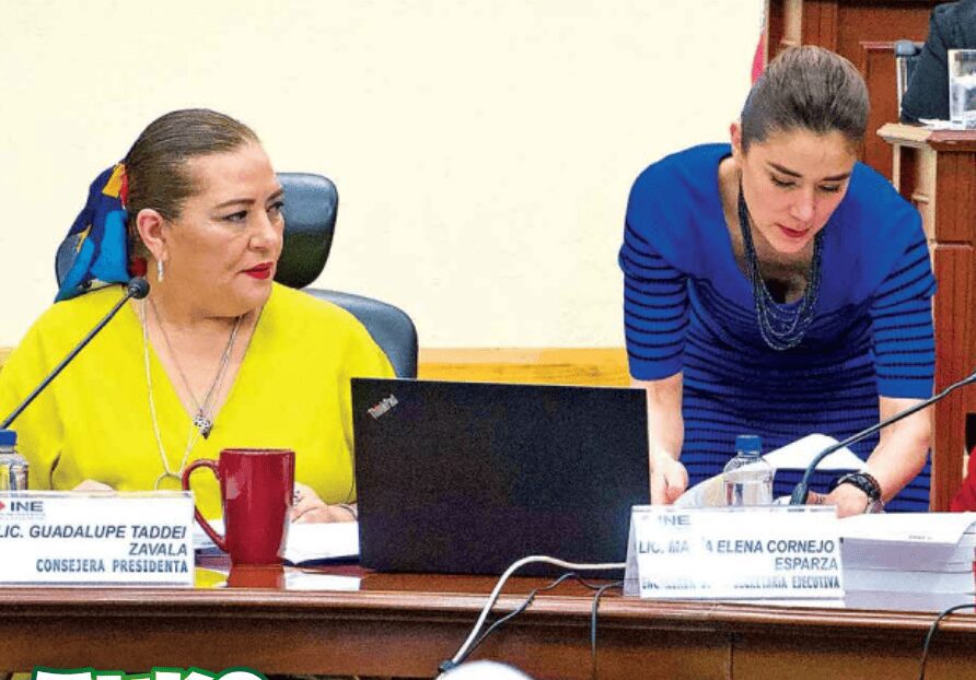 El INE fiscalizará los anuncios de los aspirantes a candidaturas