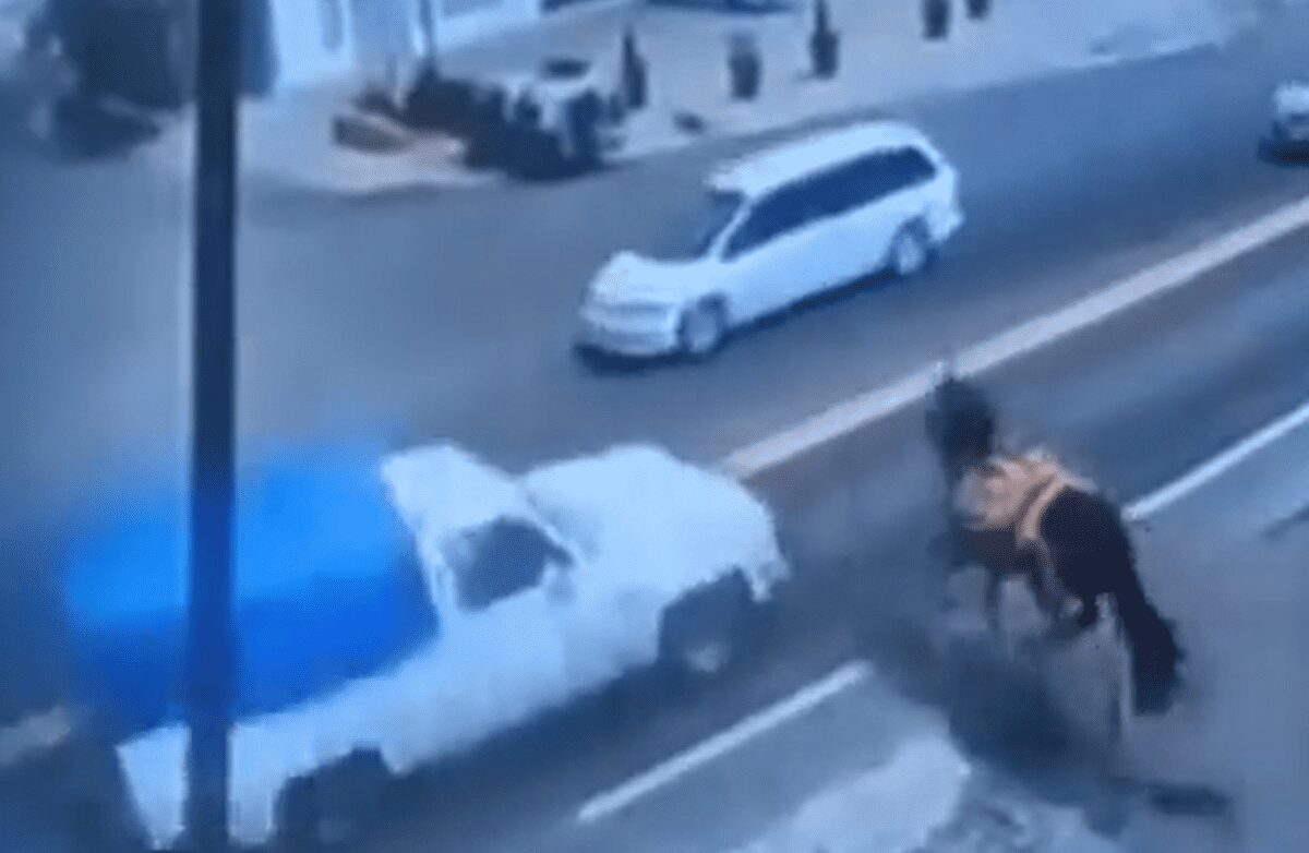 Un caballo pierde la vida al ser embestido por una camioneta