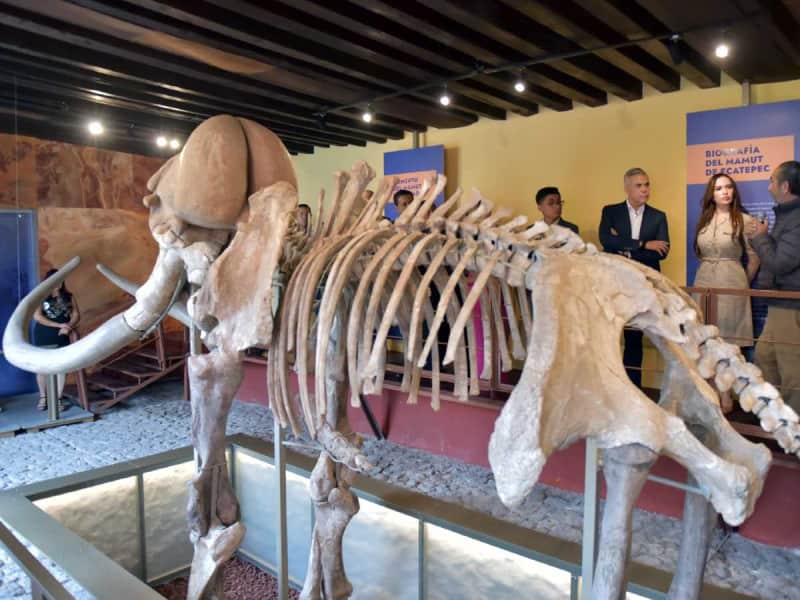 Buscan regresar a Ecatepec piezas arqueológicas que fueron extraídas en el municipio