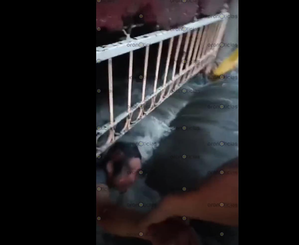 En transmisión en vivo, periodista salva a indigente de ser llevado por la corriente.