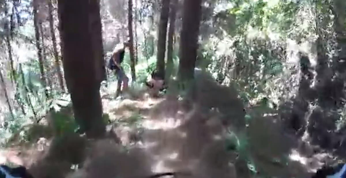 ¡El bosque es de todos!, el mejor lugar para practicar cualquier deporte y también ¿¡sexo!?