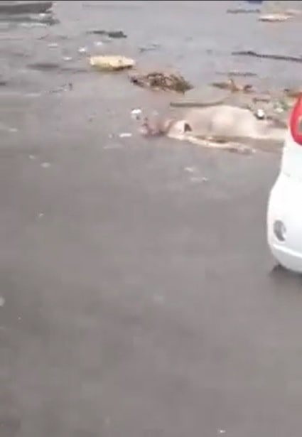 Inundaciones en Colima provocadas por “Beatriz” dejan descubierto el cadáver de un hombre