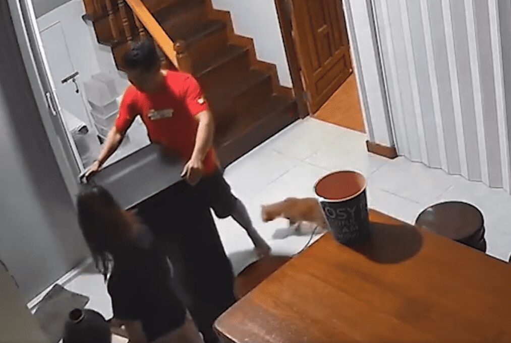 Hombre es atacado por su gato inexplicablemente, aquí el video