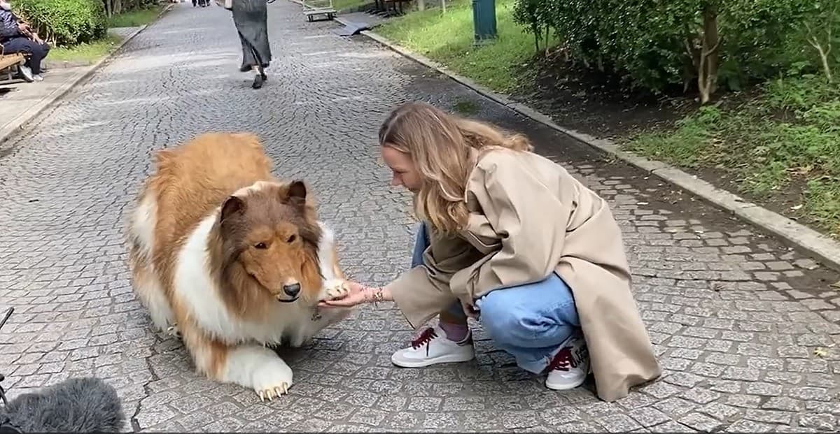 No es ciencia ficción ni reencarnación, es un hombre que deseaba ser un perro y lo logró; pagó 20 mil dlls para hacer su sueño realidad, ¿tú lo harías?