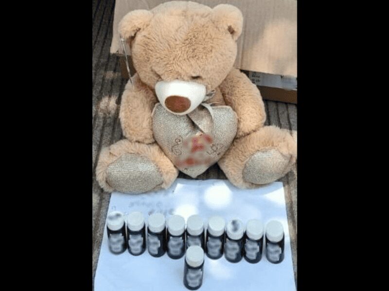 Oso traficante es asegurado por la Guardia Nacional