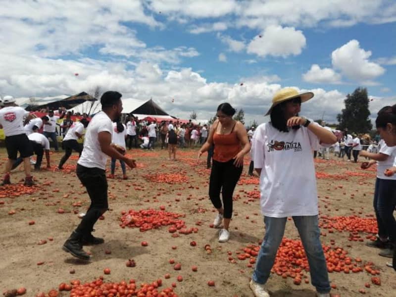 Utilizan 5 toneladas de jitomate en la segunda ‘jitomatiza’ que se organiza en Metepec, Hidalgo