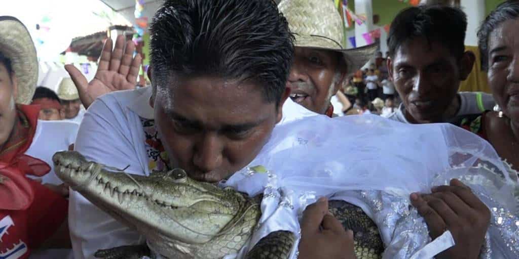 Alcalde de San Pedro Huamelula contrae matrimonio con un caimán hembra