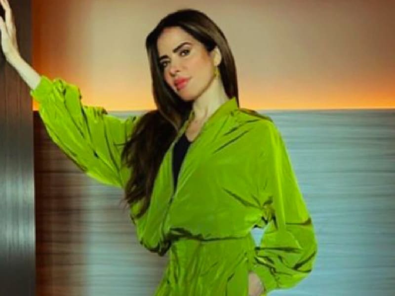 ¿Qué le paso a Ana Dalay, hija de Gloria Trevi y Sergio Andrade?