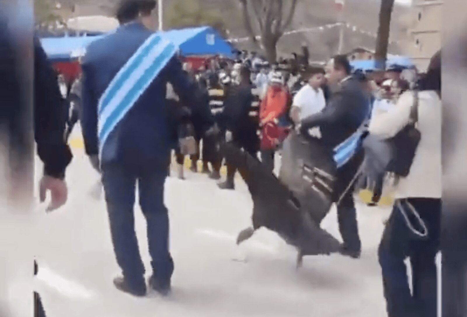 Cóndor es arrastrado en desfile por presidente municipal, en Perú