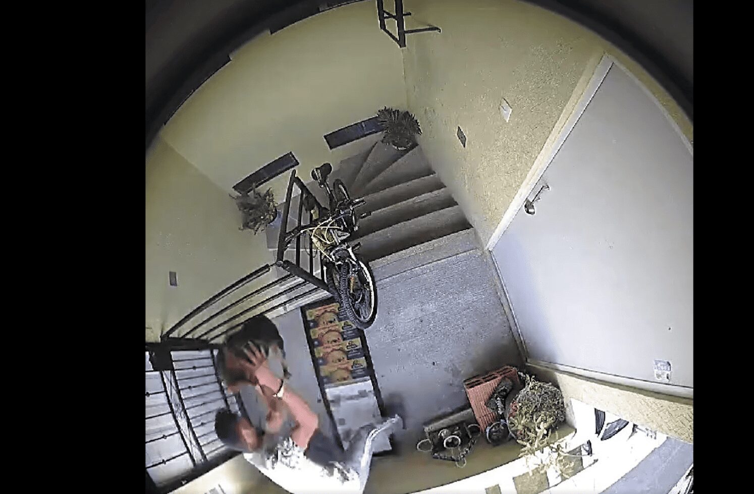 Denuncian en redes a sujeto que maltrata animales en Puebla