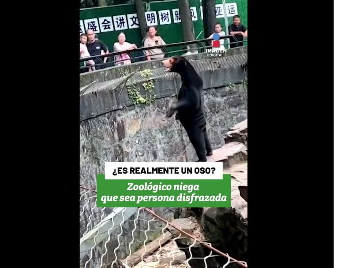 Zoológico en China genera polémica en redes, ¿Sus osos son personas disfrazadas?